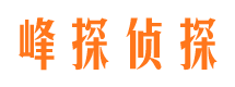 汝州找人公司